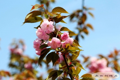 房县以“钉钉子”精神推进项目建设 