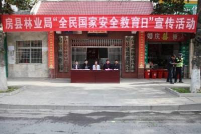房 县 林 业 局  开展“全民国家安全教育日”宣传活动