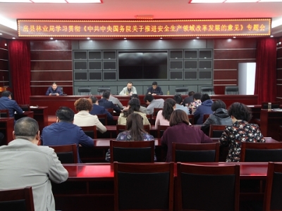 县林业局召开学习贯彻《中共中央国务院关于推进安全生产领域发展改革意见》专题会