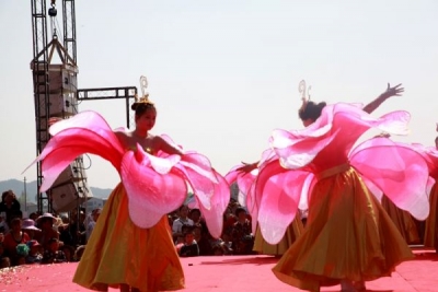 房陵牡丹园正式开园