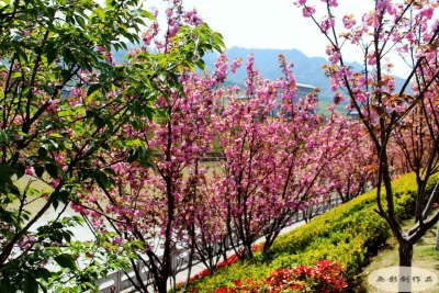 房县2017年体育中考圆满结束