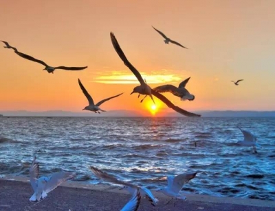 尹吉甫镇人情风治理敢较真碰硬