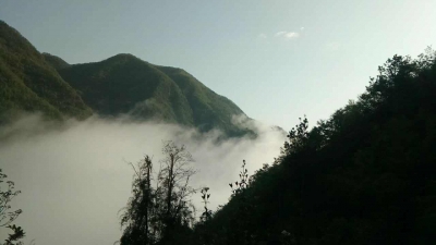 人行武汉分行来房调研金融扶贫工作