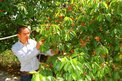 一位农民的成功尝试