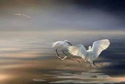 房县质监局“五大举措”助力脱贫攻坚