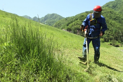 下茅坪村产业带动贫困户增收效果凸显