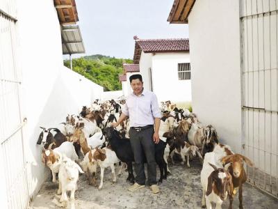 房县“产业书记”方必春的扶贫路线图