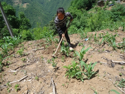 房县地震局开展党纪法规廉政知识测试