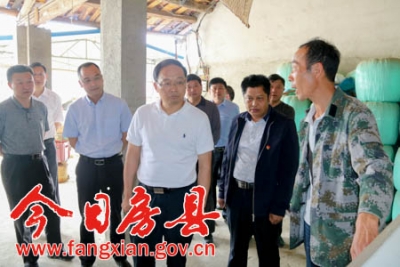 蔡贤忠专题调研项家河村精准扶贫工作