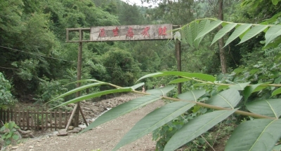 房县五台一牛人：因残疾 被评为贫困户  因勤奋创业 成功脱贫退低保 