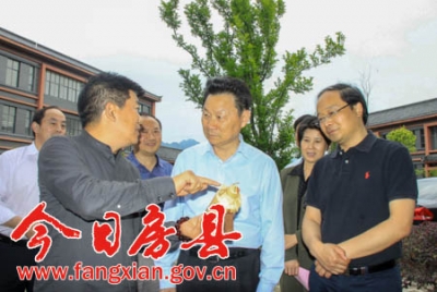 赵斌调研我县经济社会发展情况