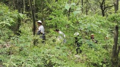 董瑞明一行深入房县调研天宝山草牧业发展情况