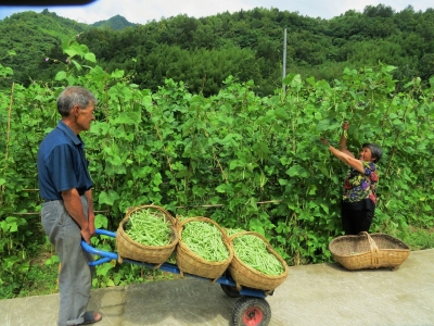 元至4月全县财政收入同比增长5.3%