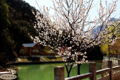 县政协下访委员 为经济发展把脉问诊