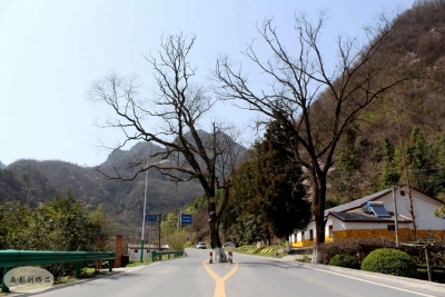 房县挂榜岩风光