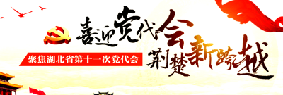 喜迎党代会 专题