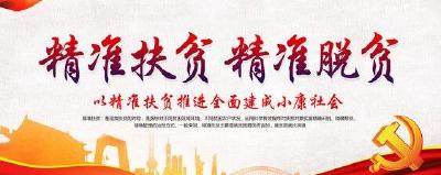 县地税局发起脱贫攻坚“夏季攻势” 