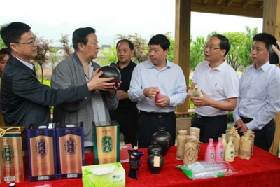 王生铁来我县调研经济社会发展情况