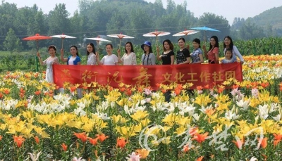 丹江口习家店镇：情定农博园 相约千亩花海