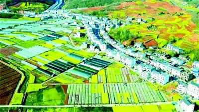 老站长的感叹，新站长来实现！