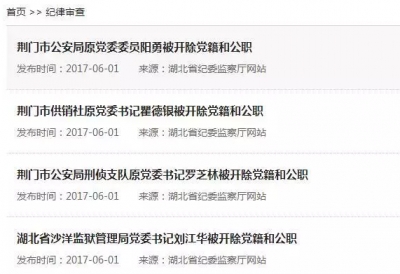 湖北4名官员被“双开”，有人交通肇事逃逸找人“顶包”