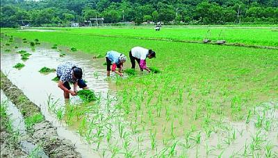 房县农业经济换挡提速