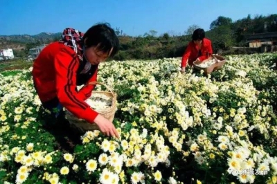 房县香菇木耳获得欧盟认证！