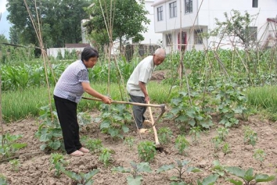 身病更坚脱贫志 不等不靠勤劳动