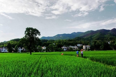 姚坪乡“四强化”推进运用大数据开展精准扶贫政策落实情况监督检查工作 