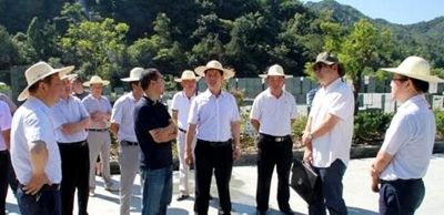 纪道清到金裕石材、黄酒民俗村项目现场办公