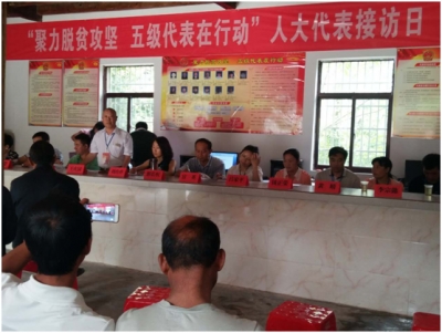 野人谷镇开展“聚力脱贫攻坚 五级代表在行动”实践活动