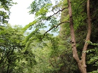   游房县岩屋沟景区