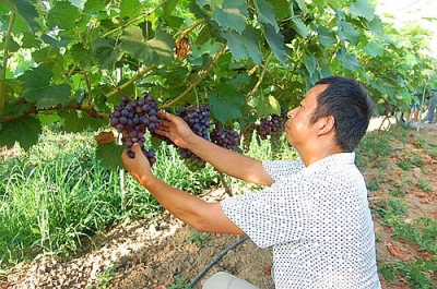 房县被正式命名为“国家卫生县城”