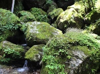   游房县岩屋沟景区