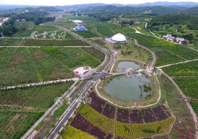 丹江口习家店农博园盛大开园 7月31日前门票免费