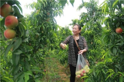 房县强力推进大数据核查工作