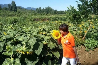 房县工商局多举措护航“第二届国际美食节”