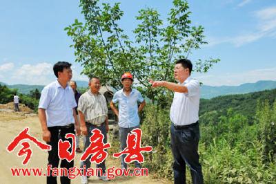 陈刚调研门中路建设