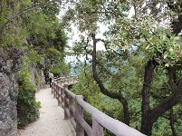   游房县岩屋沟景区
