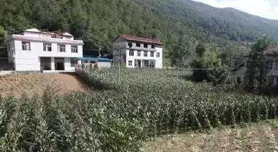 这栋房子一屋跨两省 住户吃在湖北睡在重庆