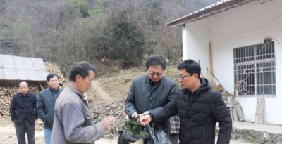 县人民医院四个强化助力精准脱贫