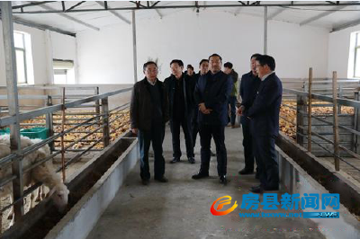 杜海洋来房调研精准扶贫工作