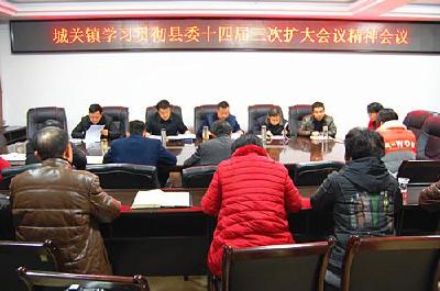 城关镇组织机关干部夜学县委十四届三次扩大会议精神