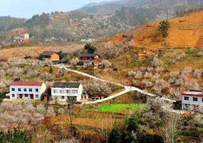 实施“暖心工程”，维护社会稳定