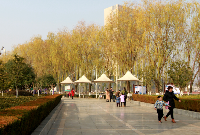 房县城区堤防工程绿化率达100％ 