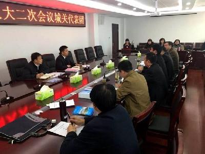 纪道清参加城关、窑淮、姚坪乡镇代表团分组讨论