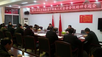 姚坪乡“三个结合”扎实学习贯彻县委十四届三次扩大会议精神 