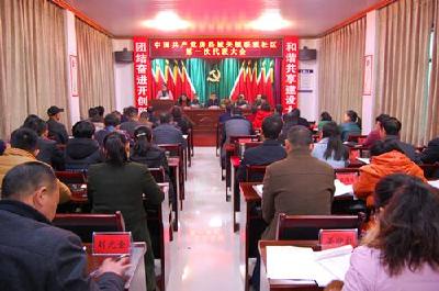 小社区”建立“大党委”——城关镇探索社区党组织推行“大党委”纪实  