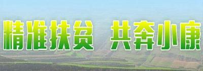 我国明确打好精准脱贫攻坚战“既不降低标准，也不吊高胃口”