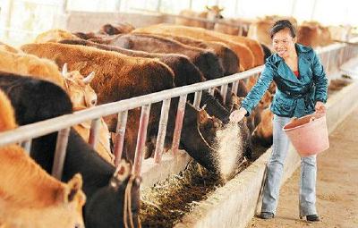 王飞朝：深山“女汉子”下岗9年干了1件大事